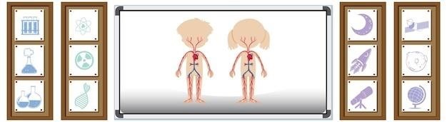 dermatomes and myotomes pdf