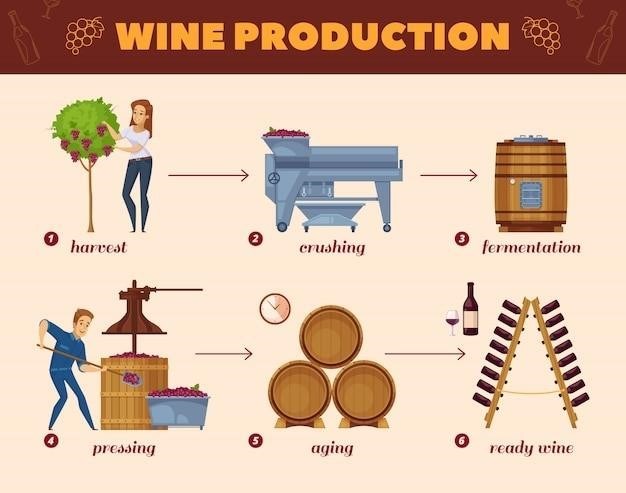 wine making process step by step pdf